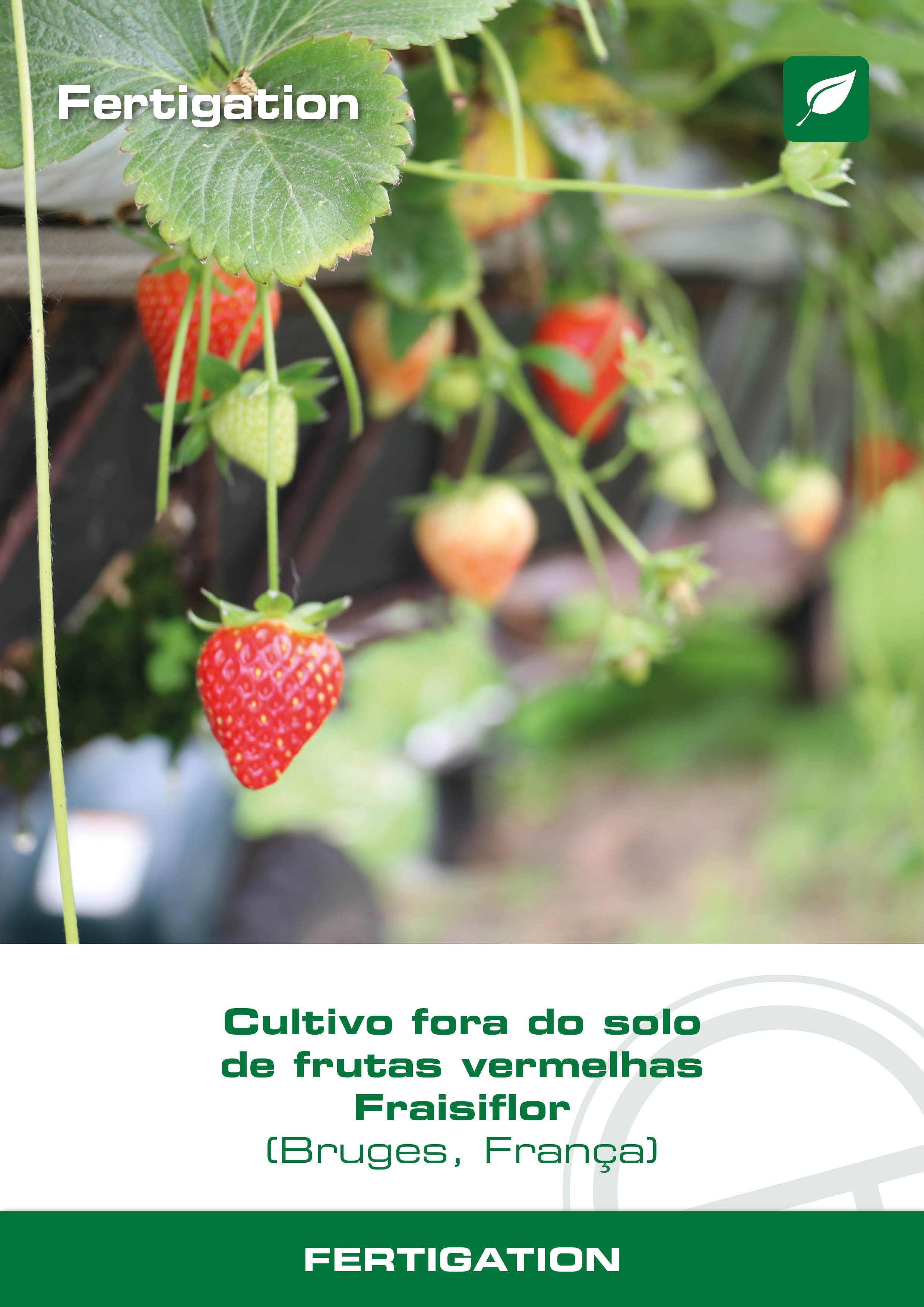 visuel-a4-fraisiflor-ptbr.jpg
