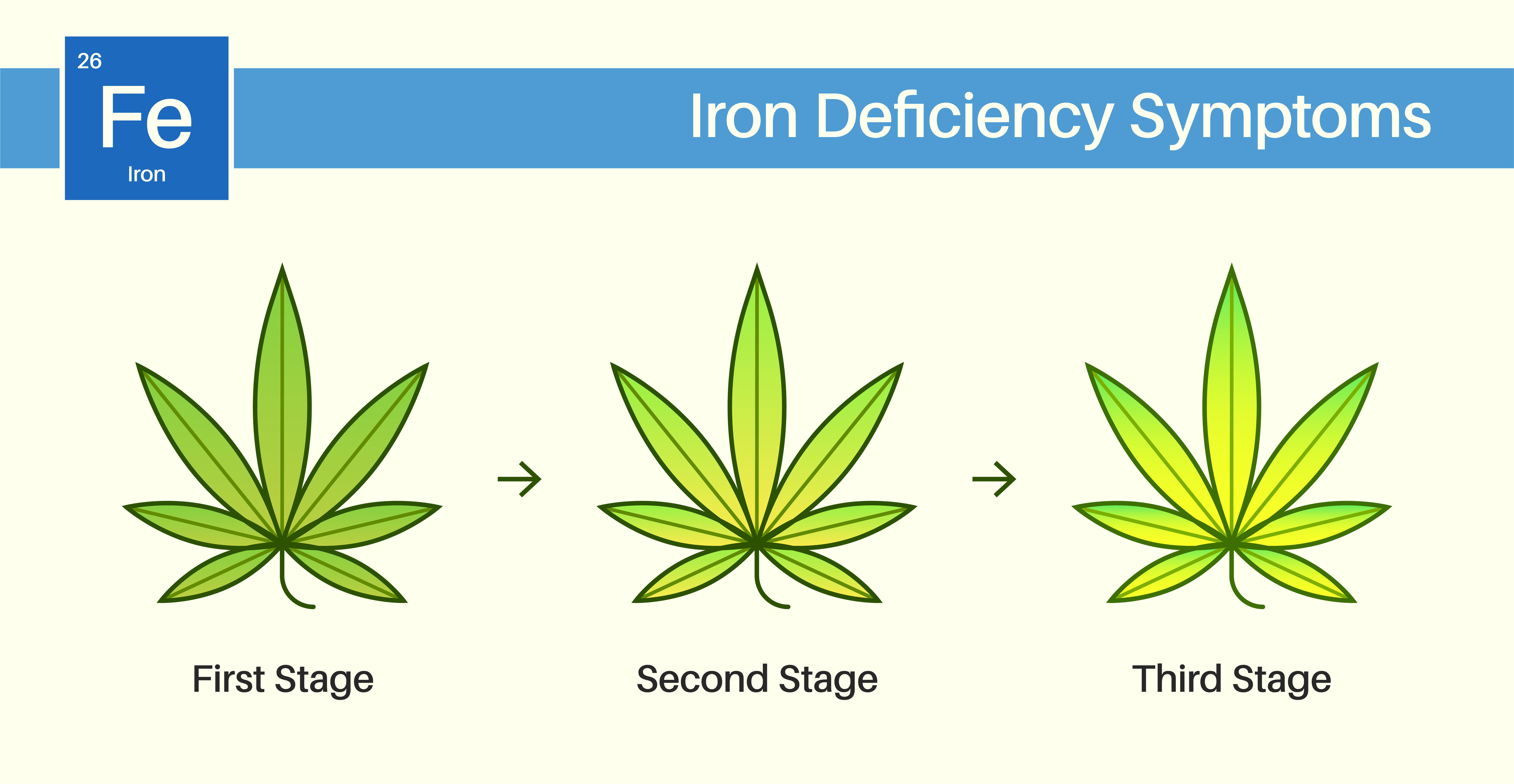 Iron cannabis deficiency image