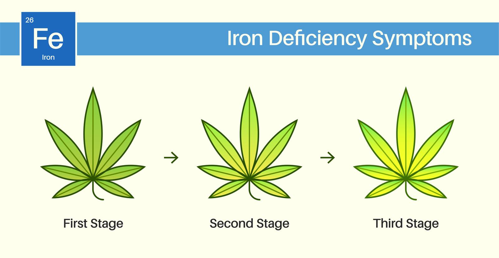 Iron cannabis deficiency image