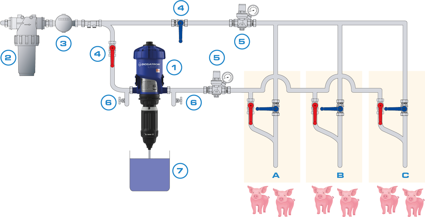 swine vaccination room