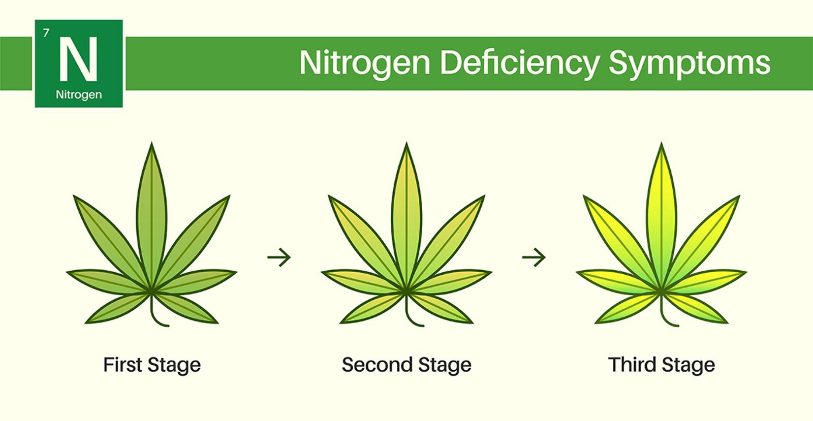 nitrogen deficiency dosatron
