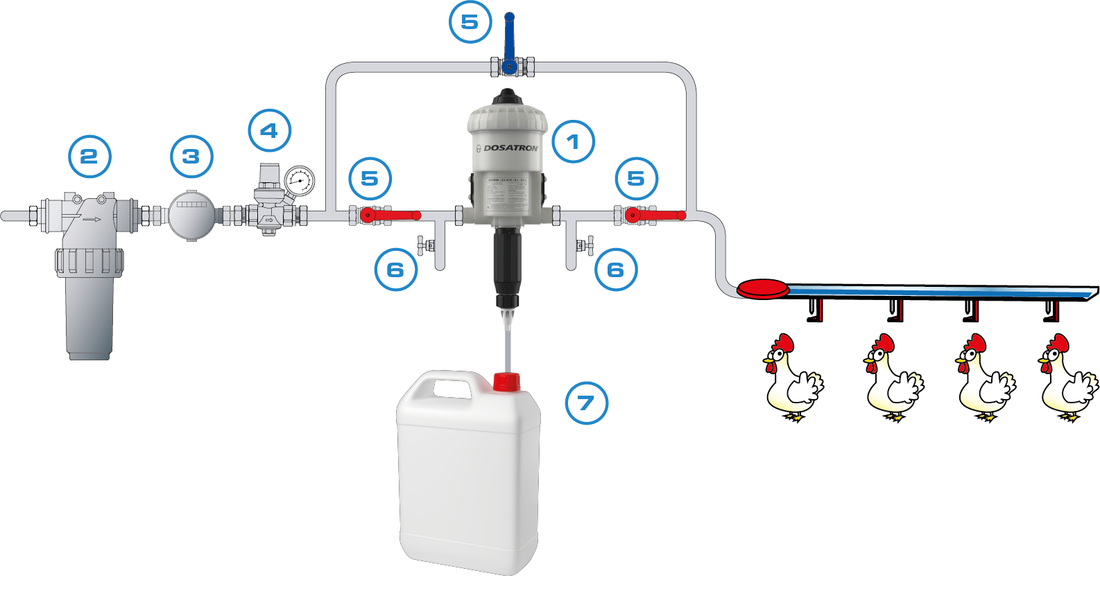 ACIDIFICATION POULTRY