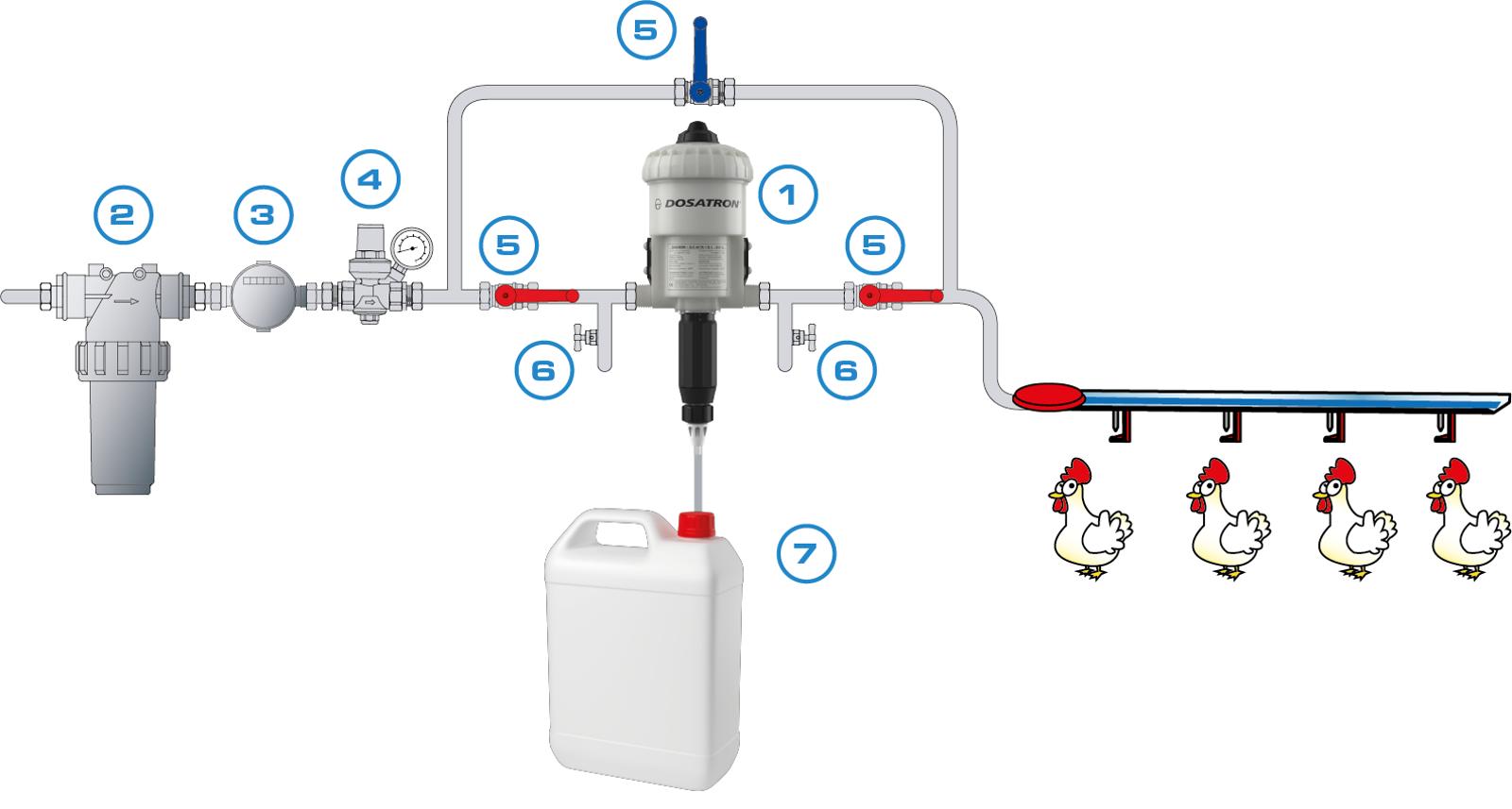 ACIDIFICATION POULTRY