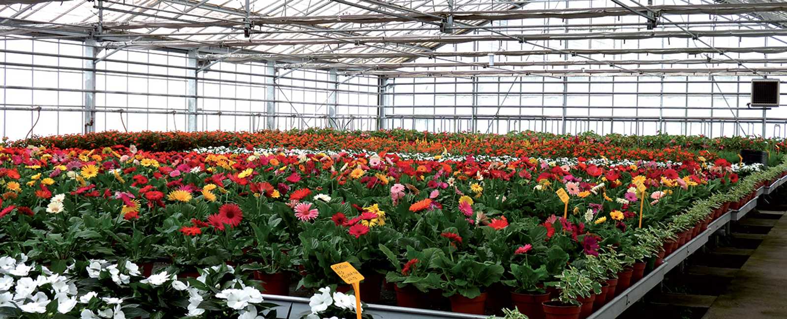 Dosatron fertilizer injectors for horticulture applications - banner