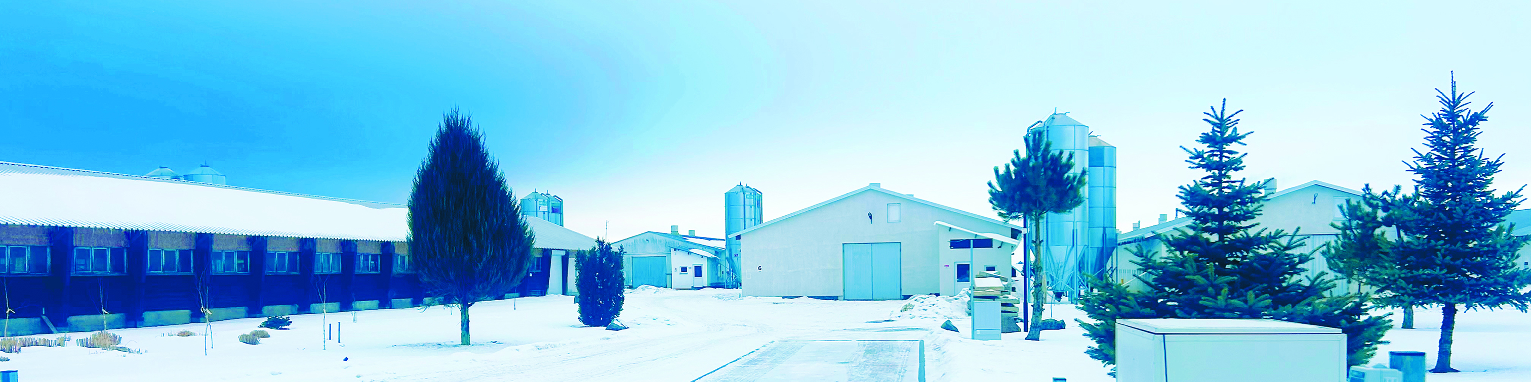 How a Leading Poultry Farm Improved Treatment Reliability Through Drinking Water 