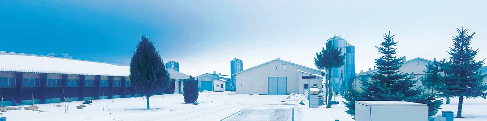 How a Leading Poultry Farm Improved Treatment Reliability Through Drinking Water