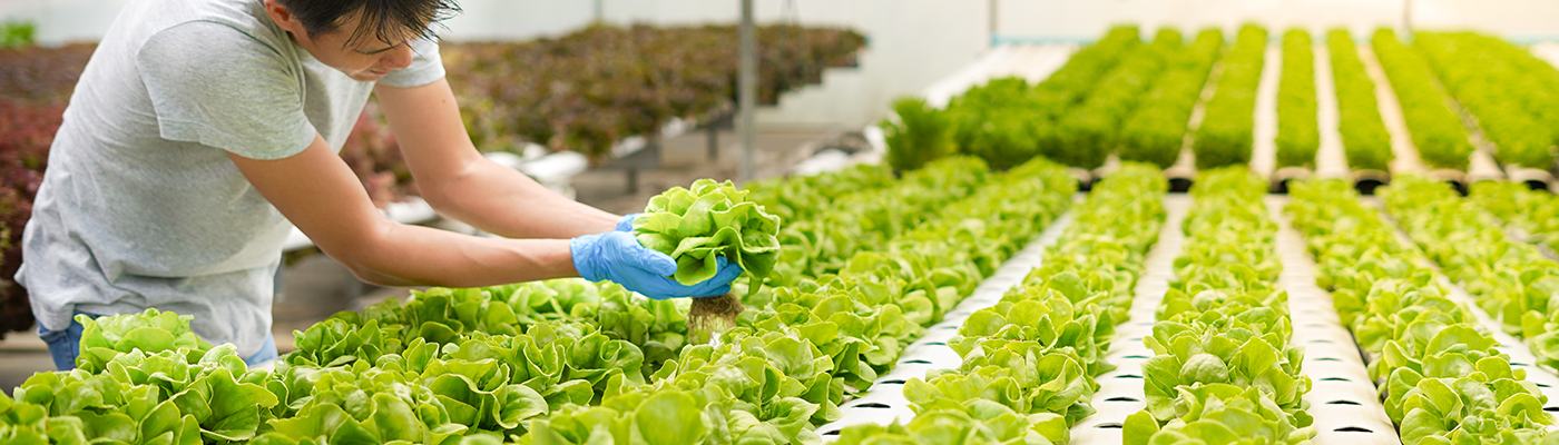 Nutrient Delivery System banner image