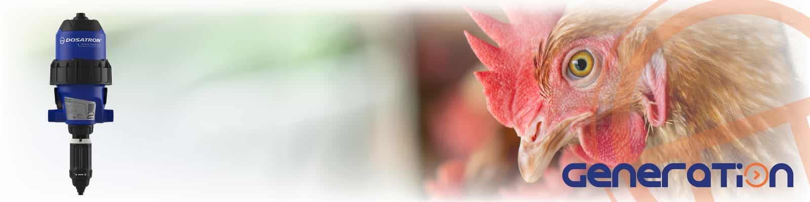 BANNER_L2_D6AL2.png