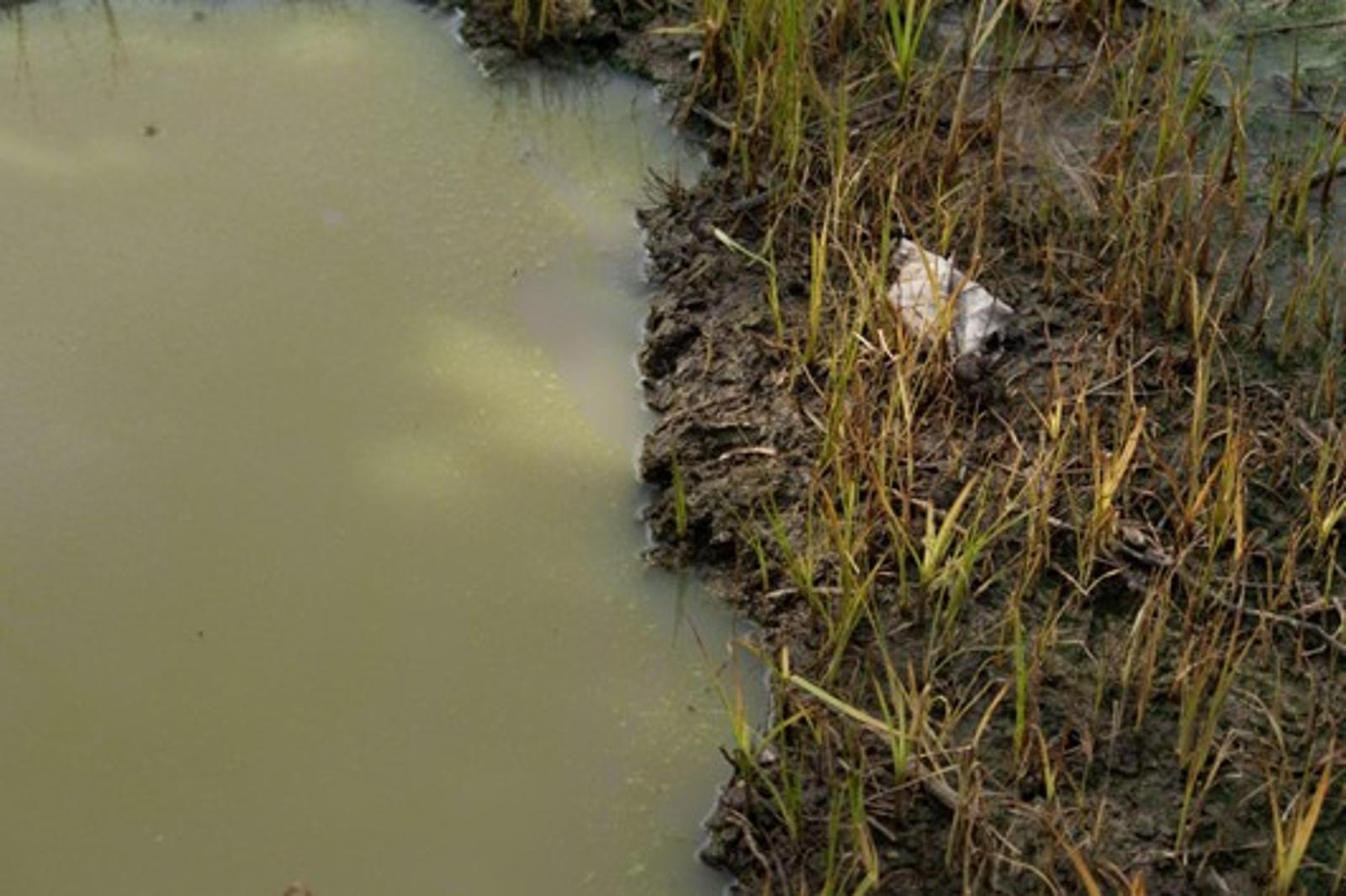 What Is Rural Wastewater Treatment?