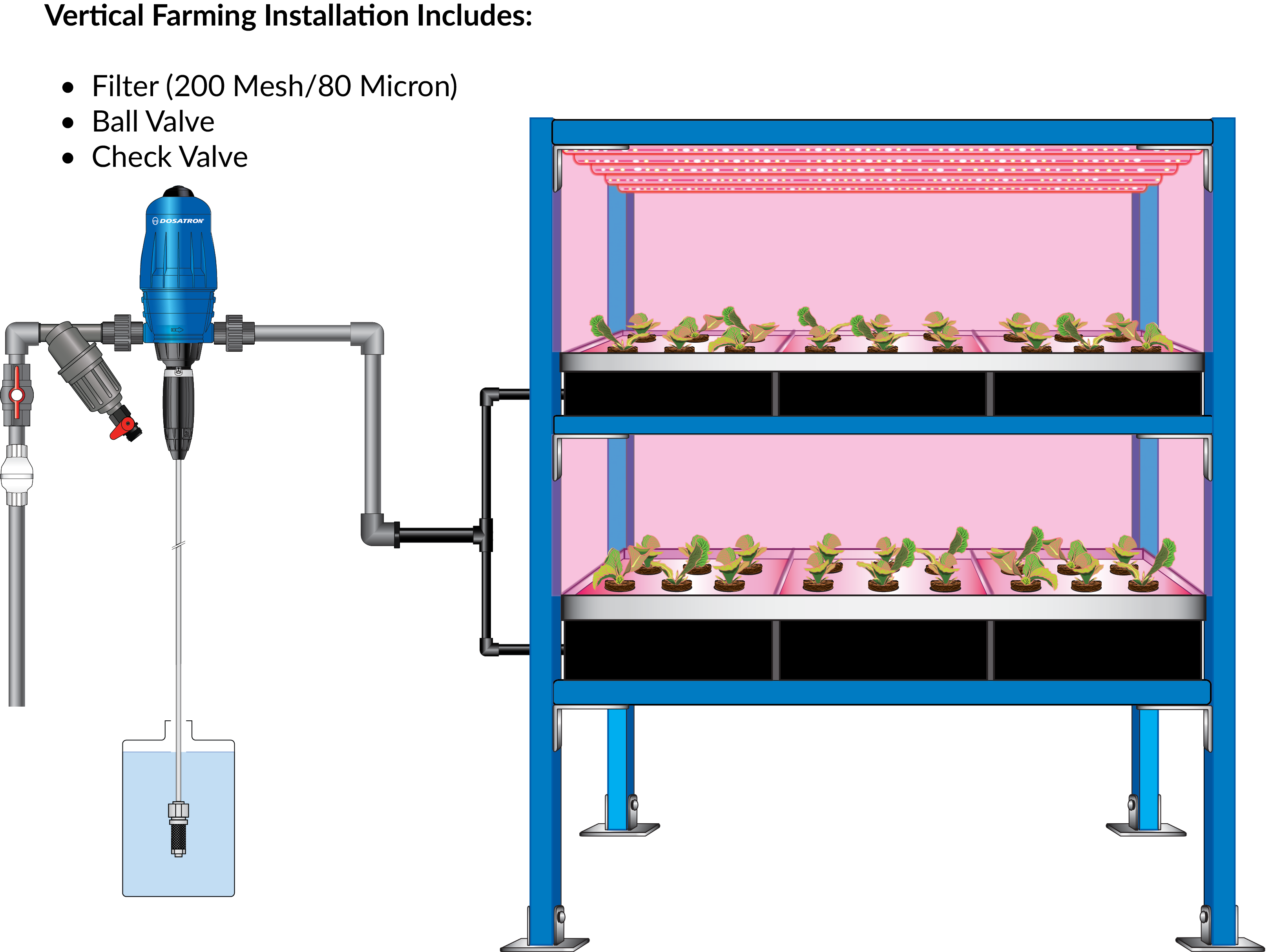 Role in ensuring food safety