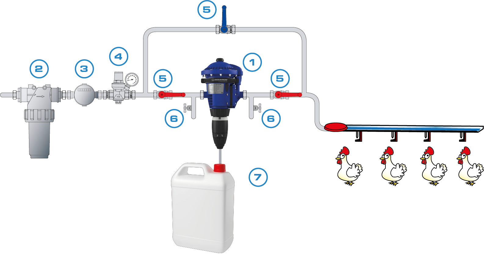 SANITATION POULTRY