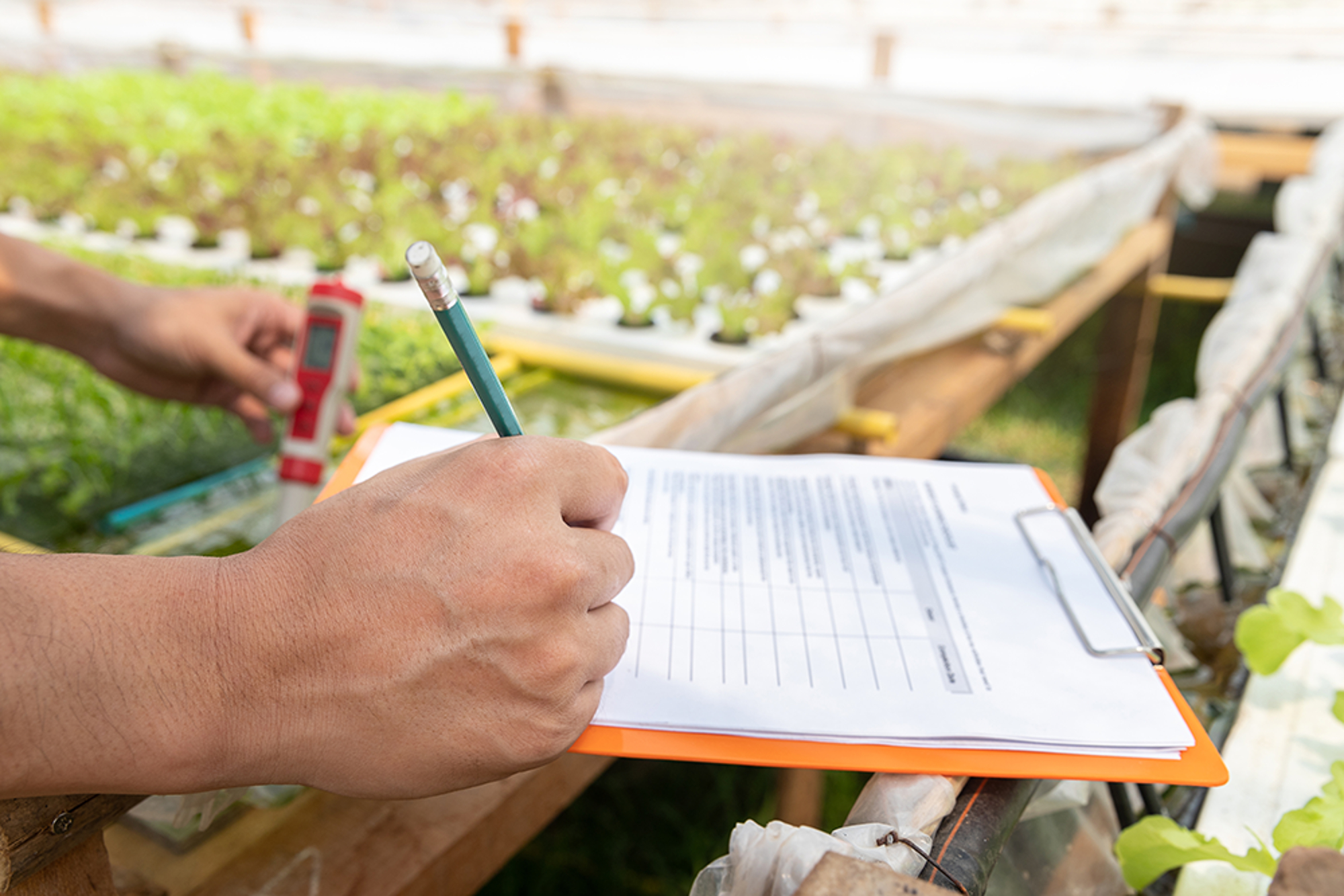 Ec Control Program How to Control EC in Hydroponics? | Dosatron Guide