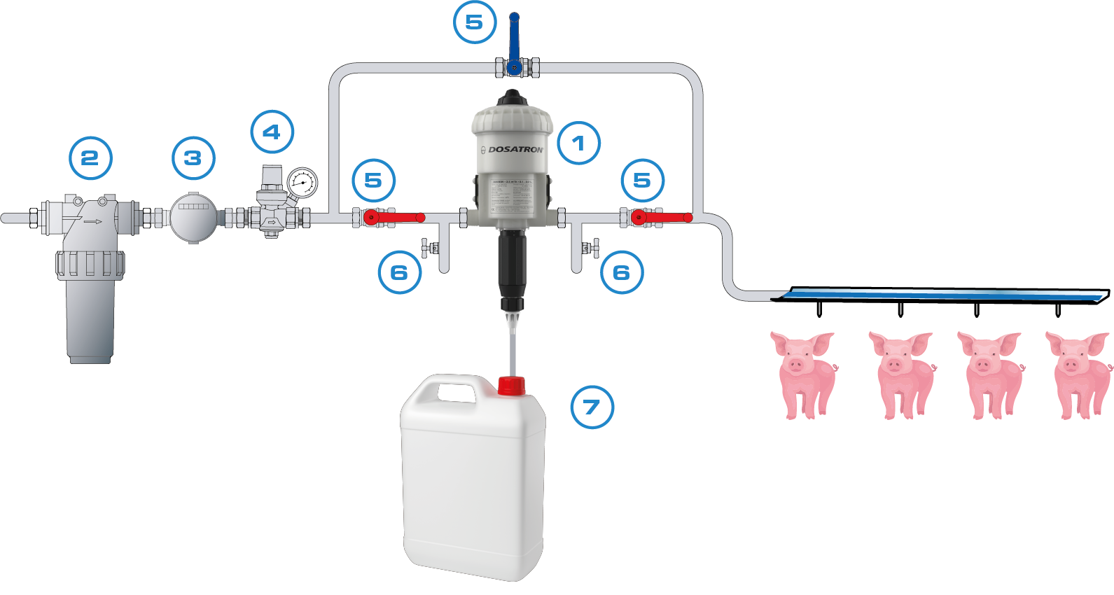 ACIDIFICATION PIG Dosatron