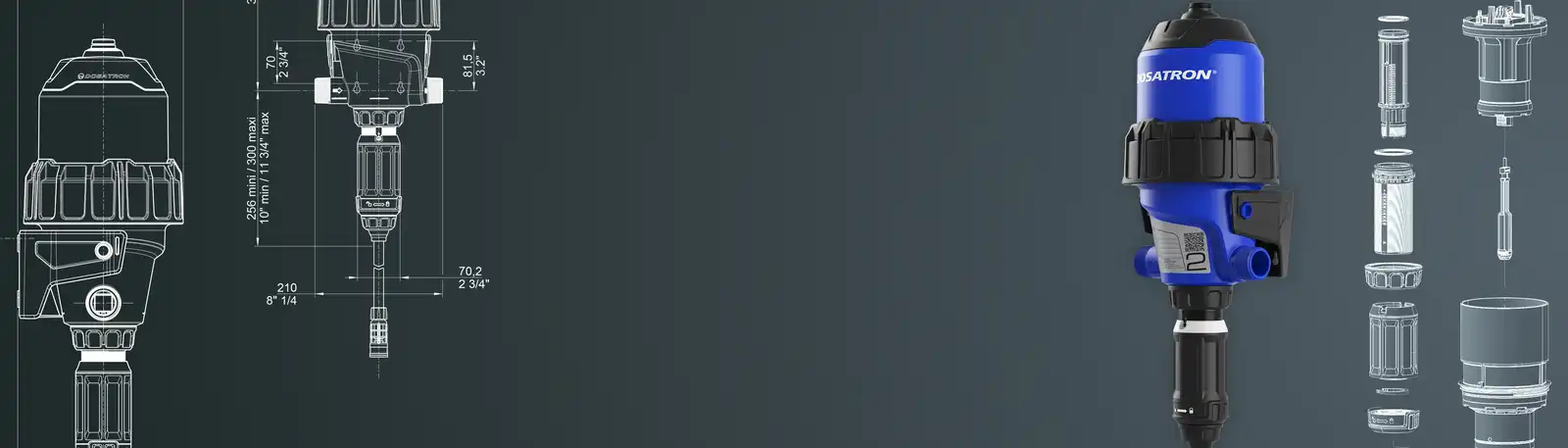 D6 Banner