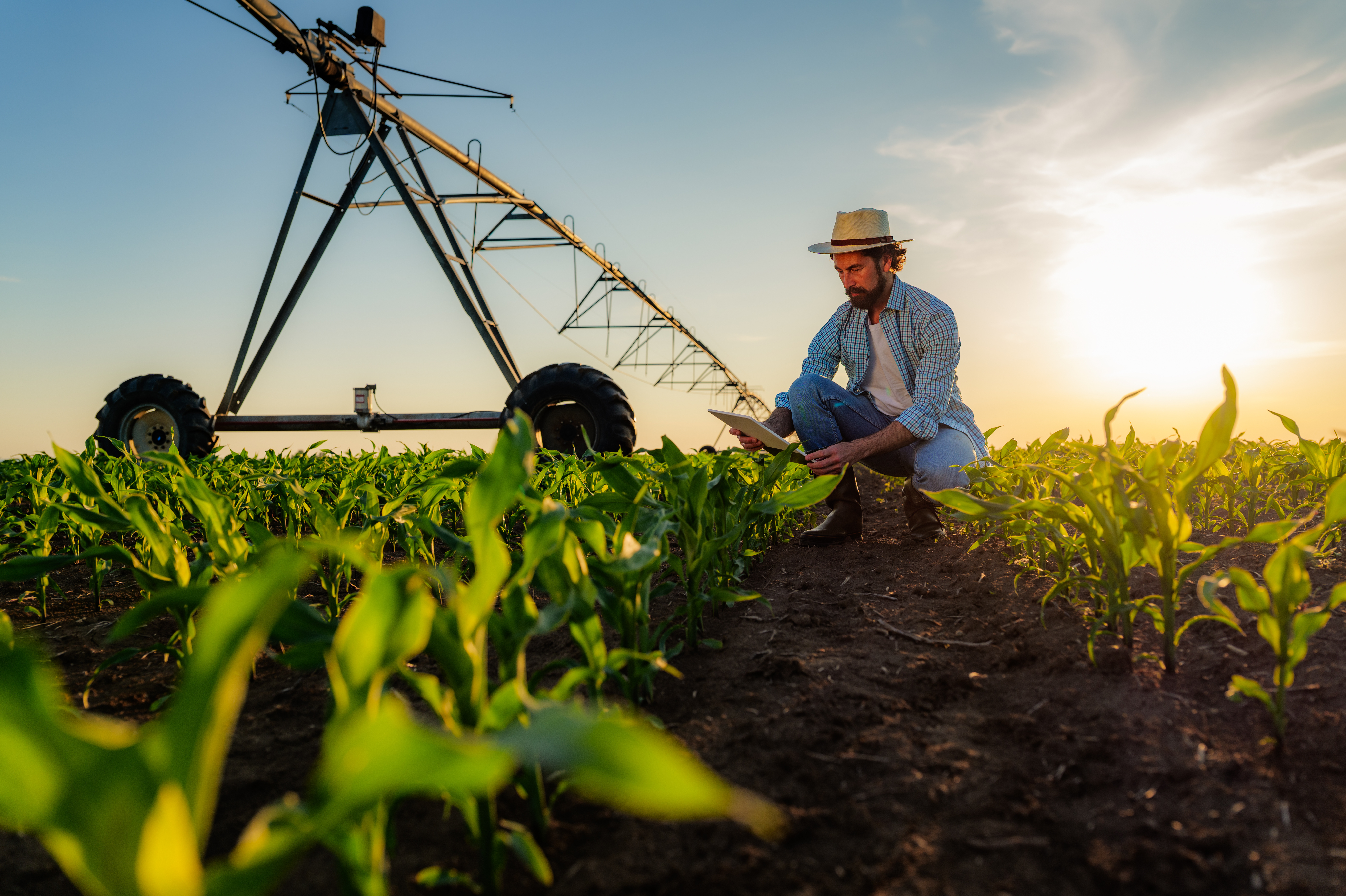 Fertigation : Methods, Equipment & Plant Growth Benefits
