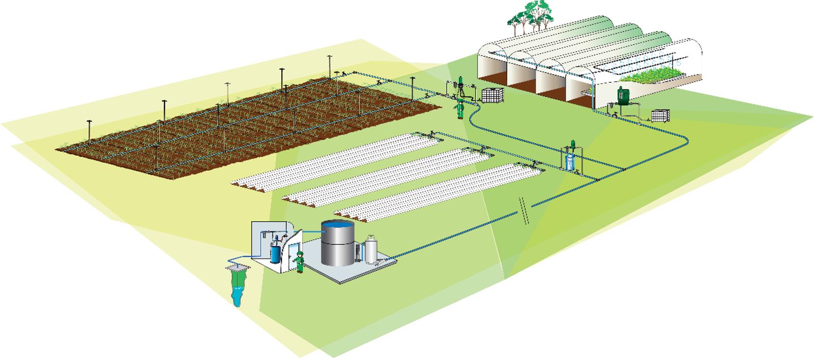 fruits and vegetables prodution - banner