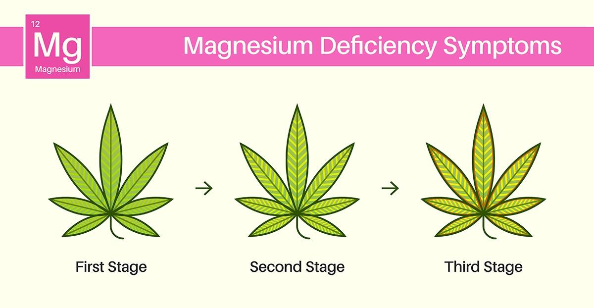 magnesium deficiency dosatron