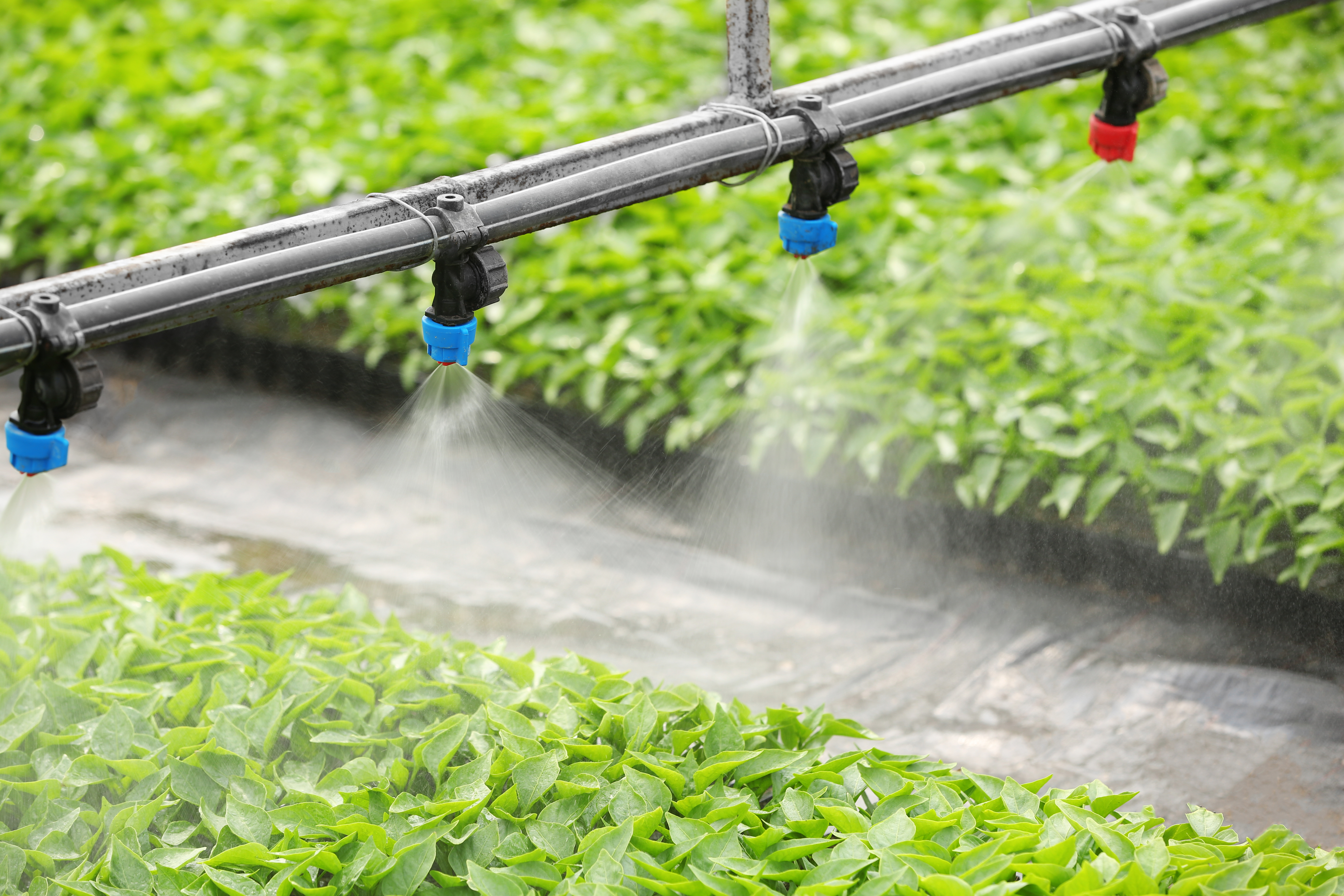 Buy High-Quality Fertigation Equipment for Irrigation System