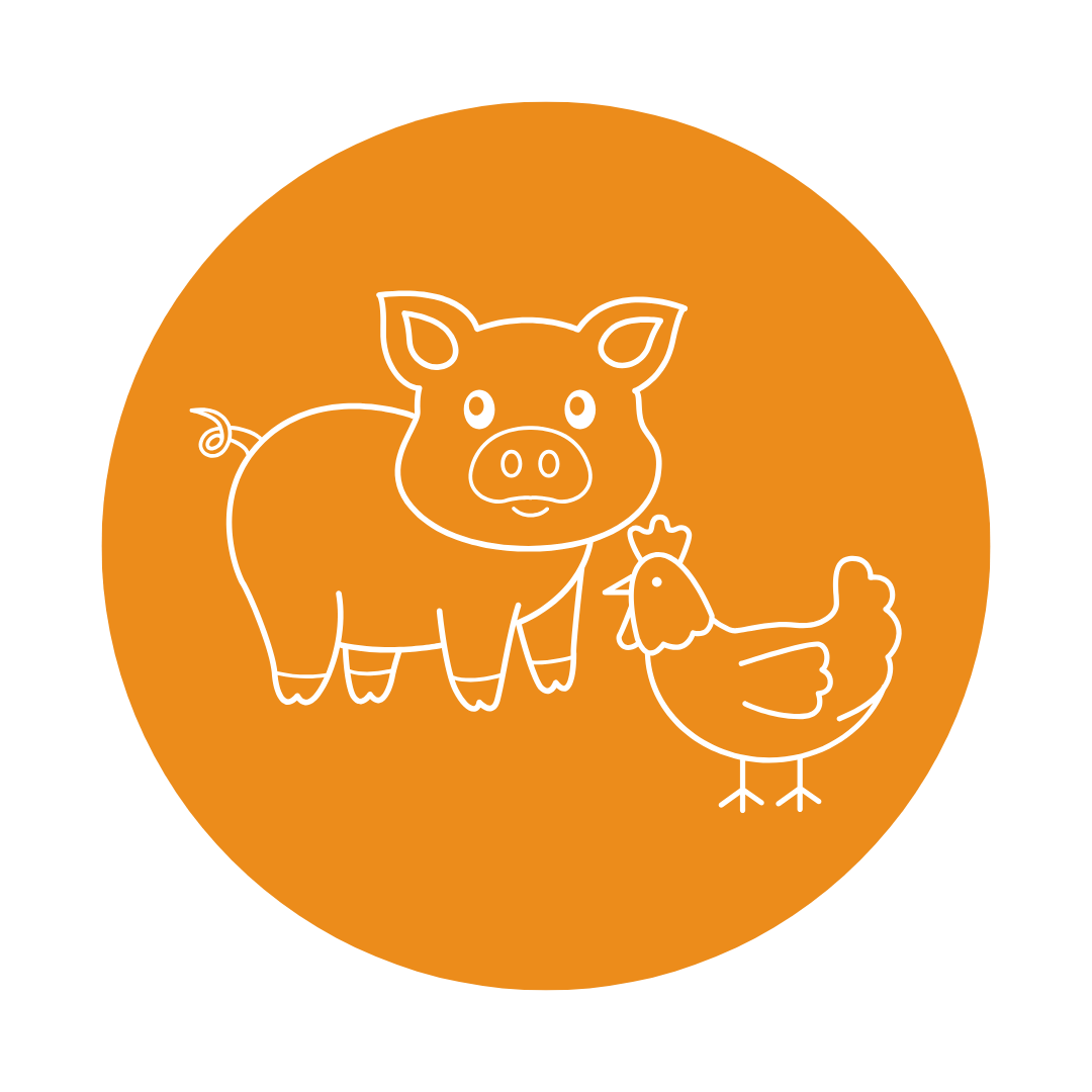 animal health