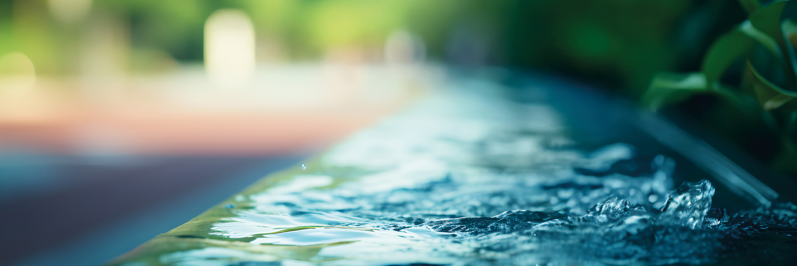 Dosalliance HEADER WEB.png