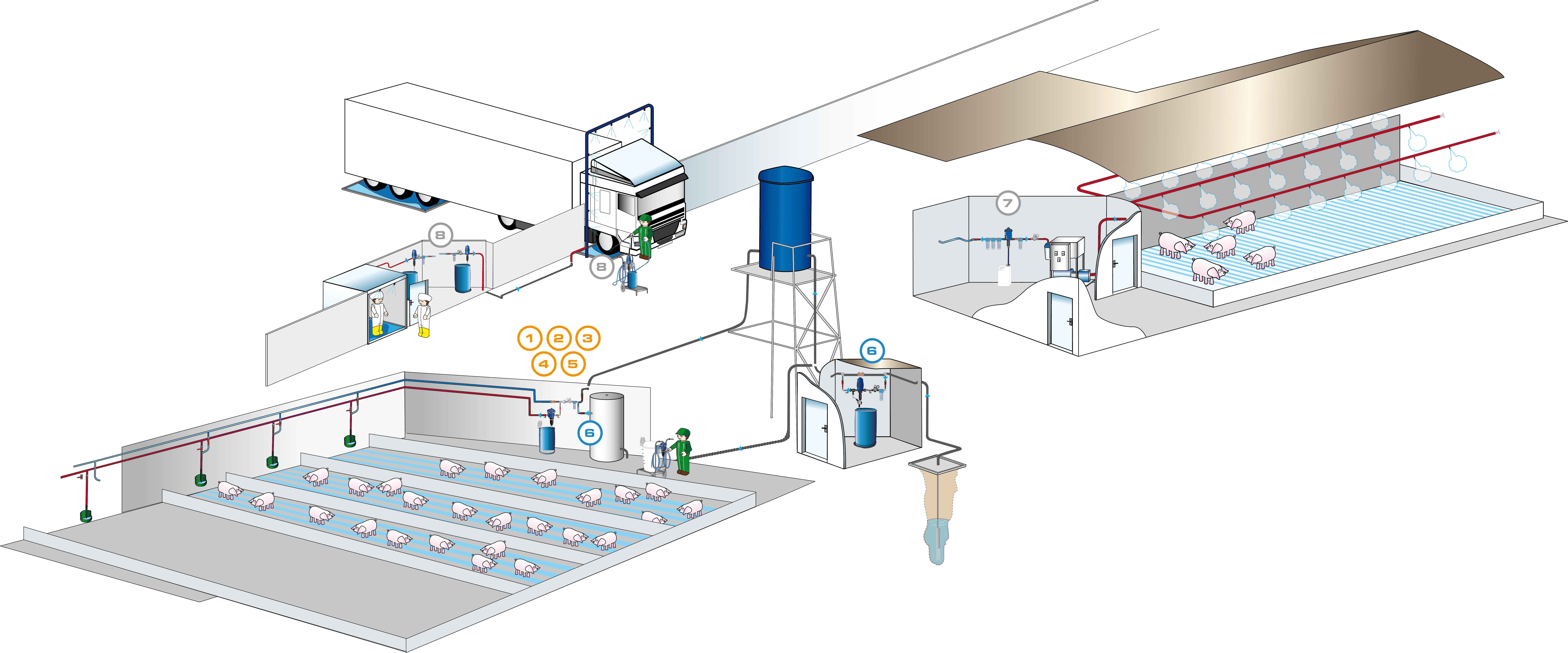 All Applications in pig breeding