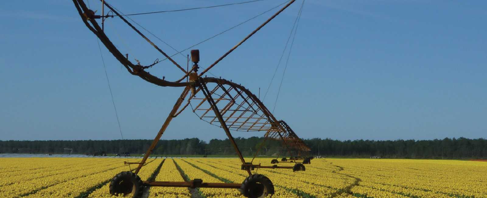 Dosatron fertilizer injectors for drip irrigation - banner
