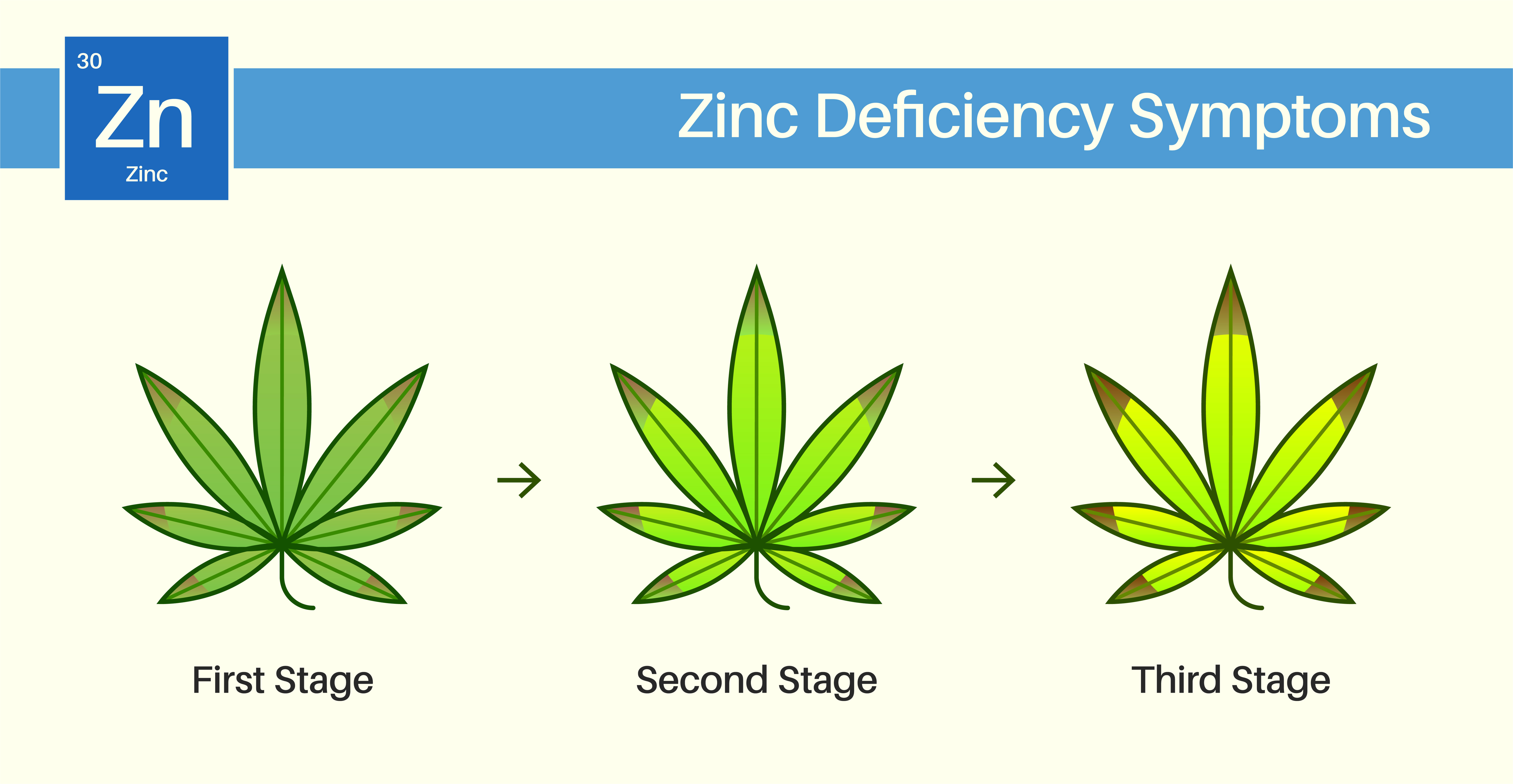cannabis zinc deficiency image