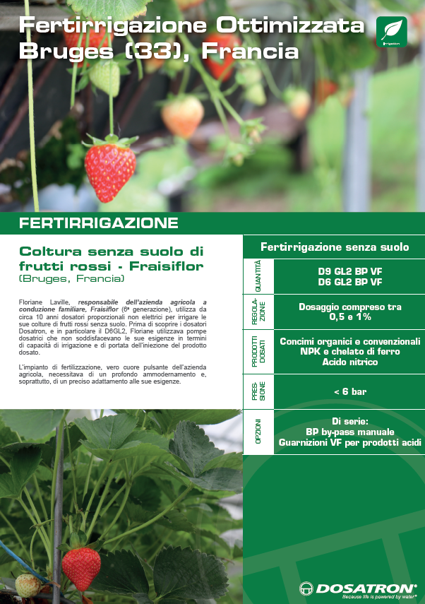 cs-fraisiflor-cover-it.png