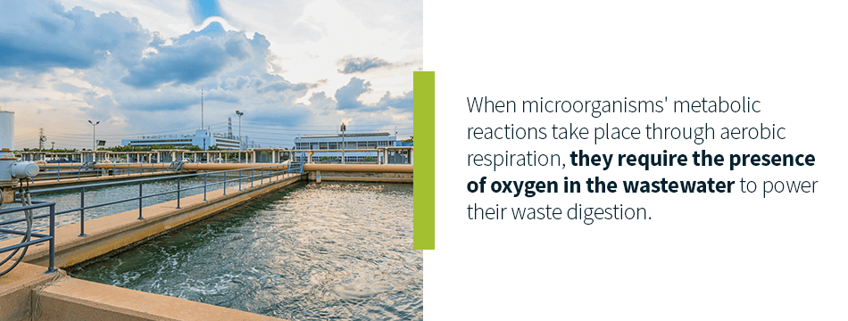 Anoxic vs. Anaerobic vs. Aerobic Wastewater Treatment 2 - Article Image