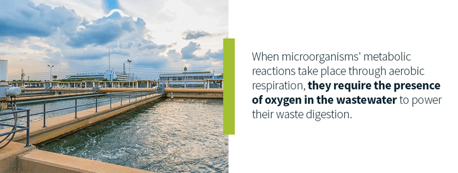 Anoxic vs. Anaerobic vs. Aerobic Wastewater Treatment 2 - Article Image