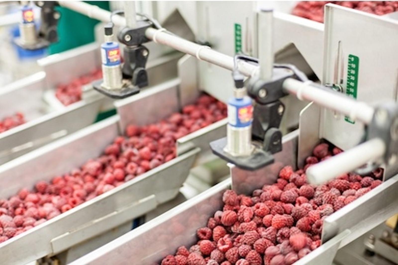 SSI-Product-Photo-food_beverage.jpg