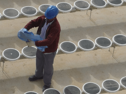 About ssi aeration image 