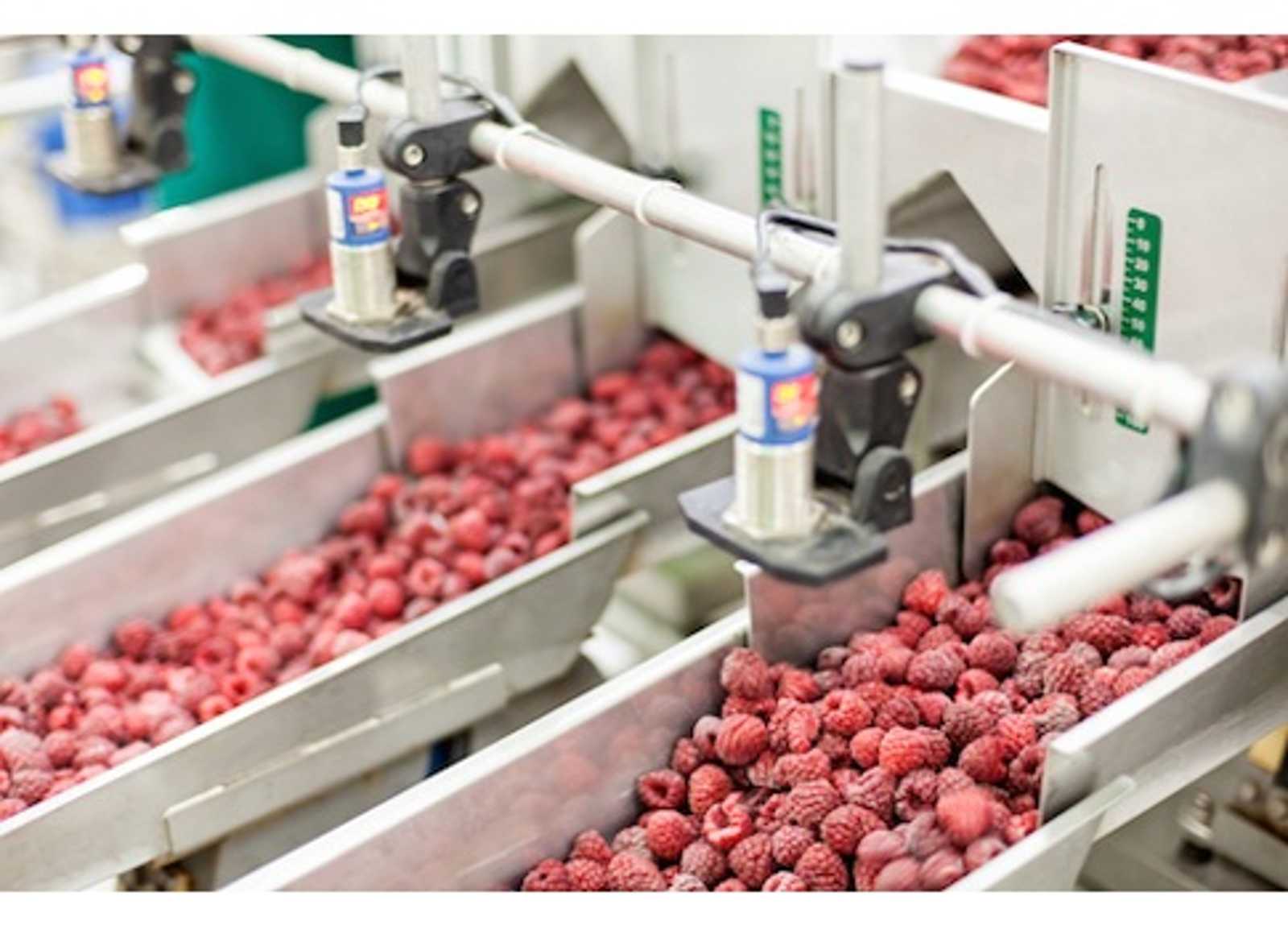 Food banner