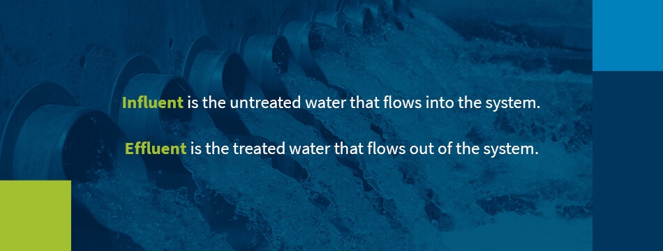 Influent and effluent