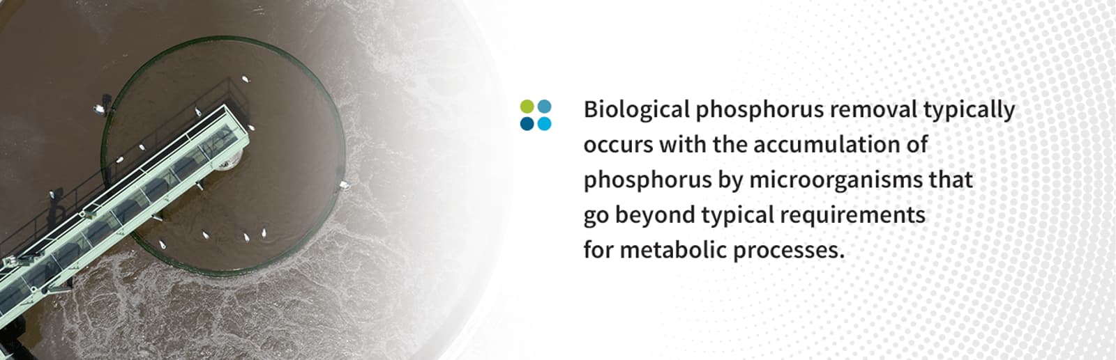 How to Remove Phosphorus from Wastewater