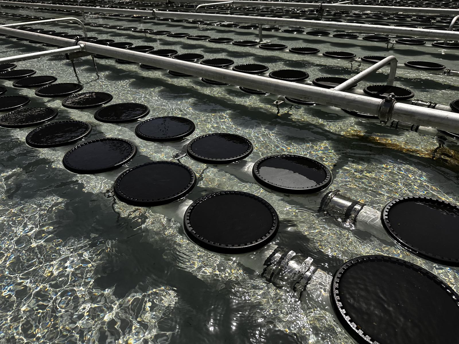 SSI-Industry-Photo-ecd-diffusers.jpg