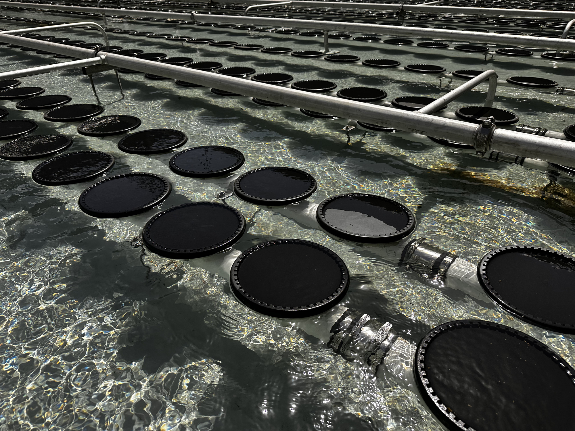 Hydrodynamic Diffuser Disc Diffusers For Wastewater Treatment Aeration Systems | SSI Aeration