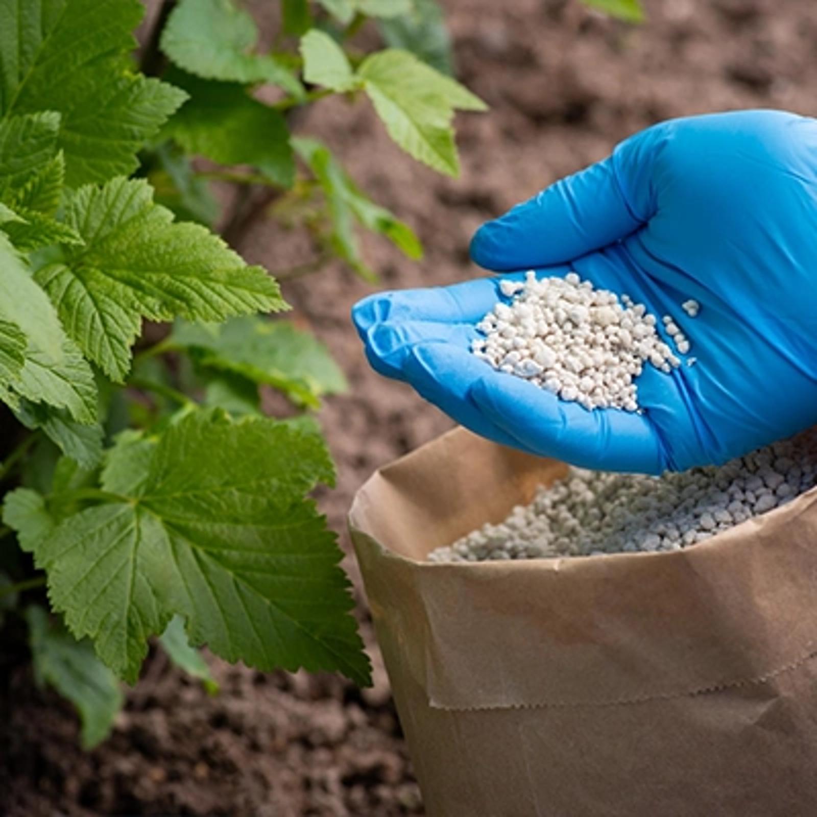 UT-Application-Photo-home-industries-fertiliser.jpg
