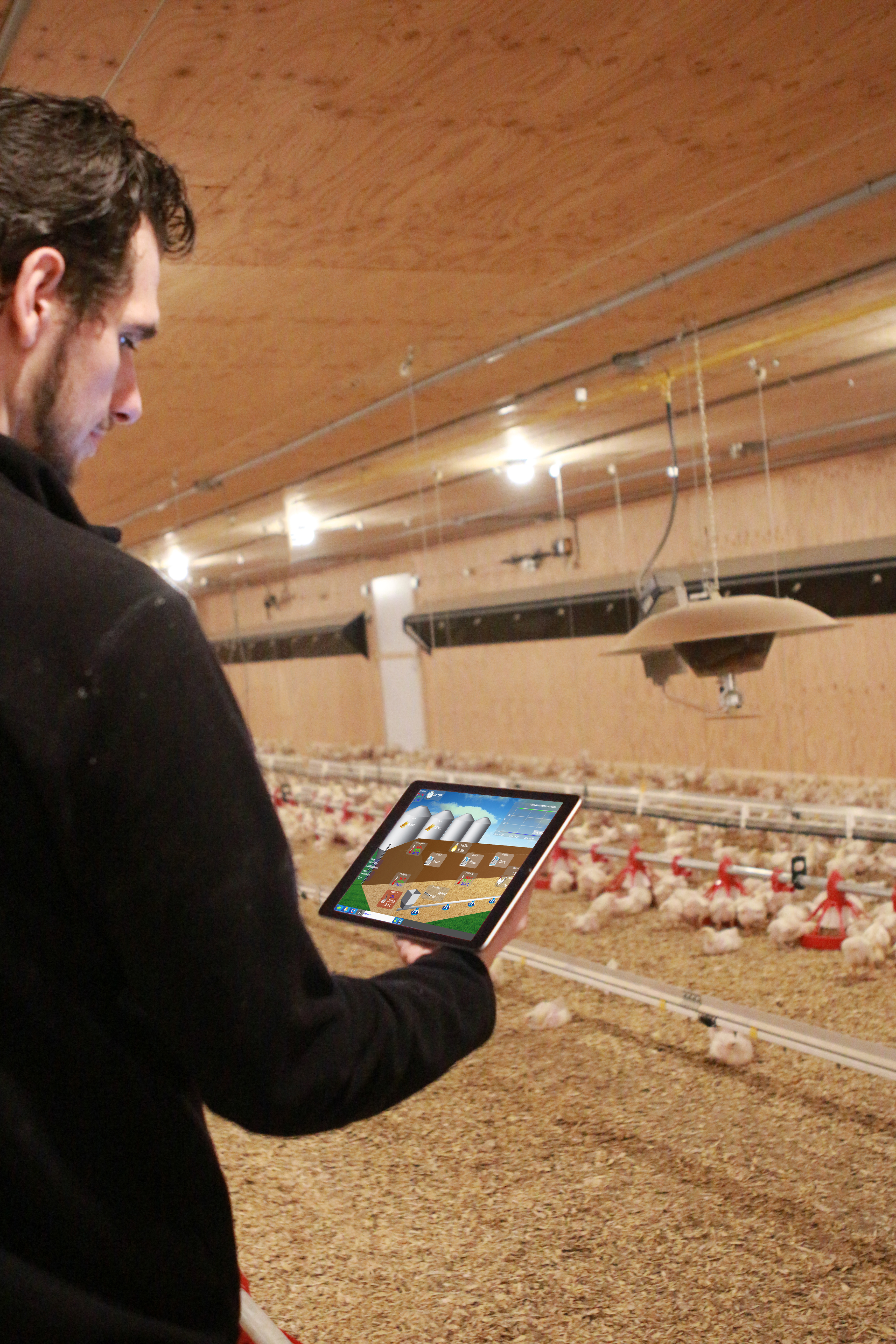 Système de contrôle avicole - Aperçu du bâtiment sur iPad