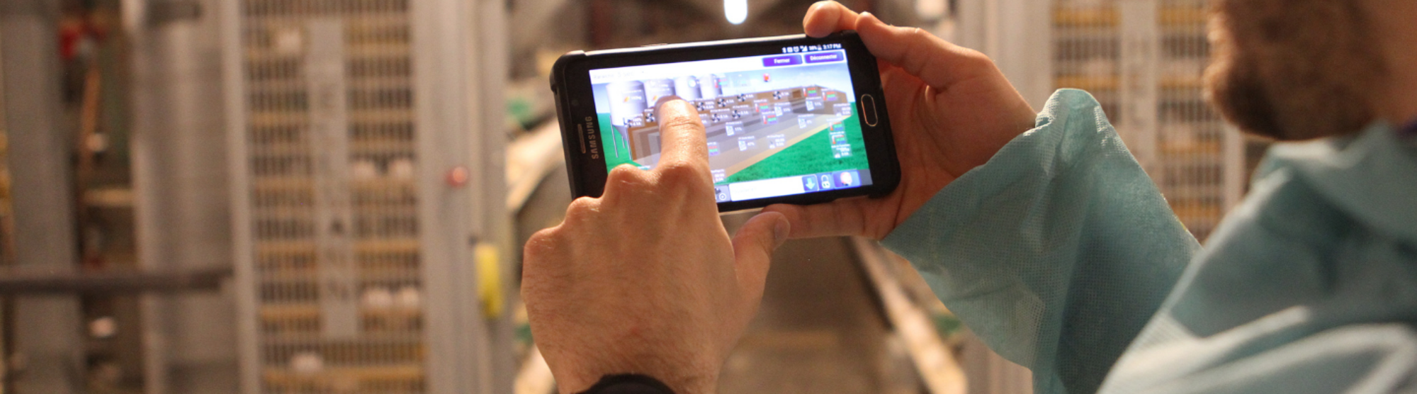 Sistemas de gestión avícola MAXIMUS: una forma sencilla de mejorar el rendimiento avícola