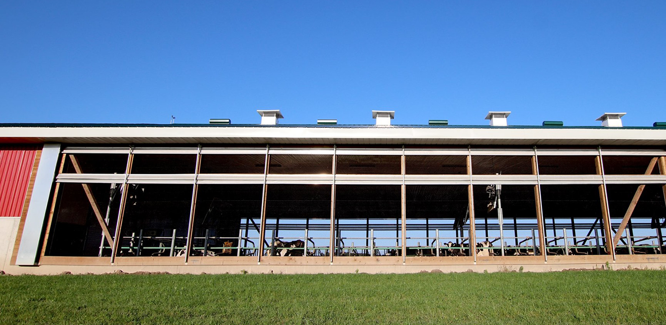 Dairy Barn Ventilation System - The MAXIMUS controller automates the ventilation operations