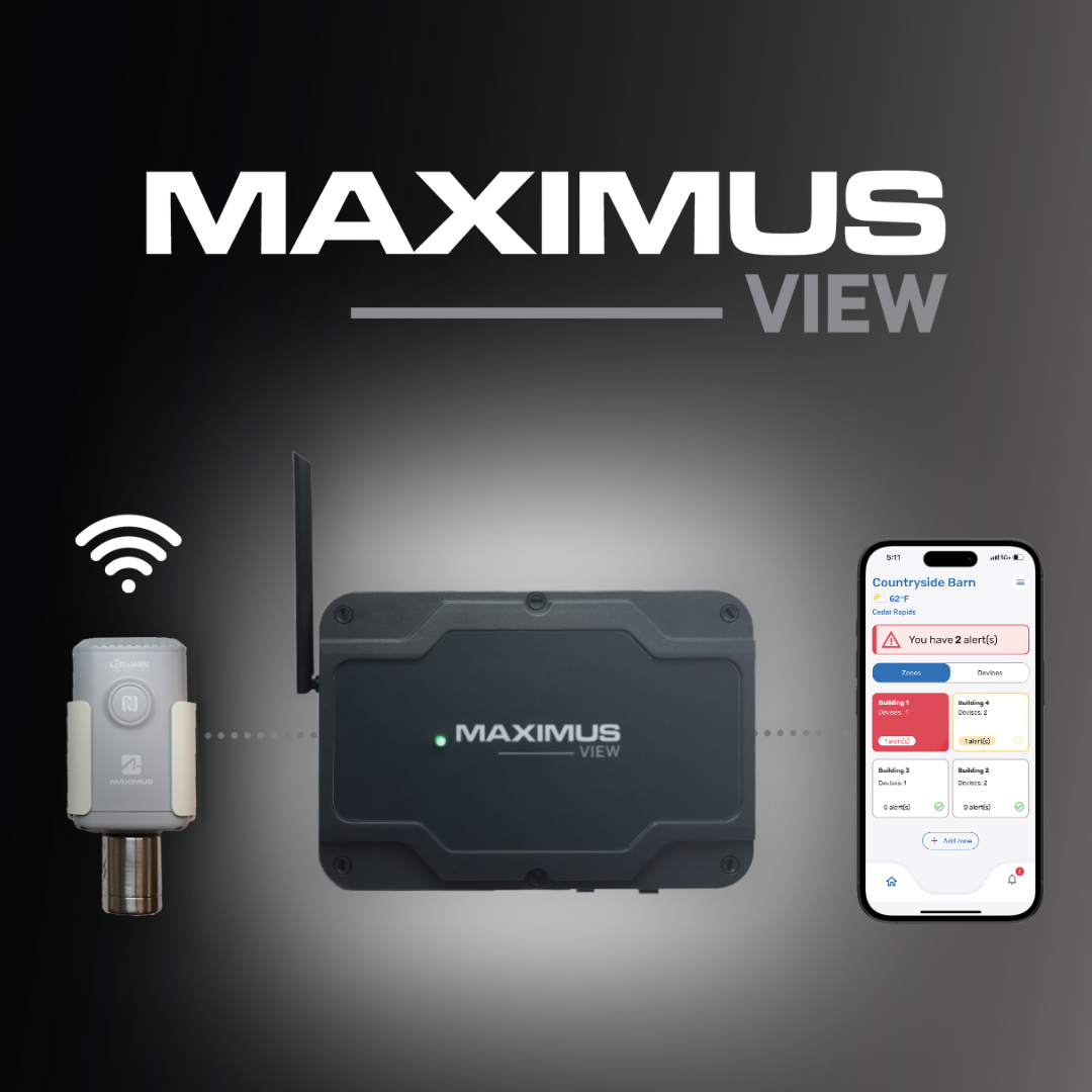 MAXIMUS Shop Online MAXIMUS View 