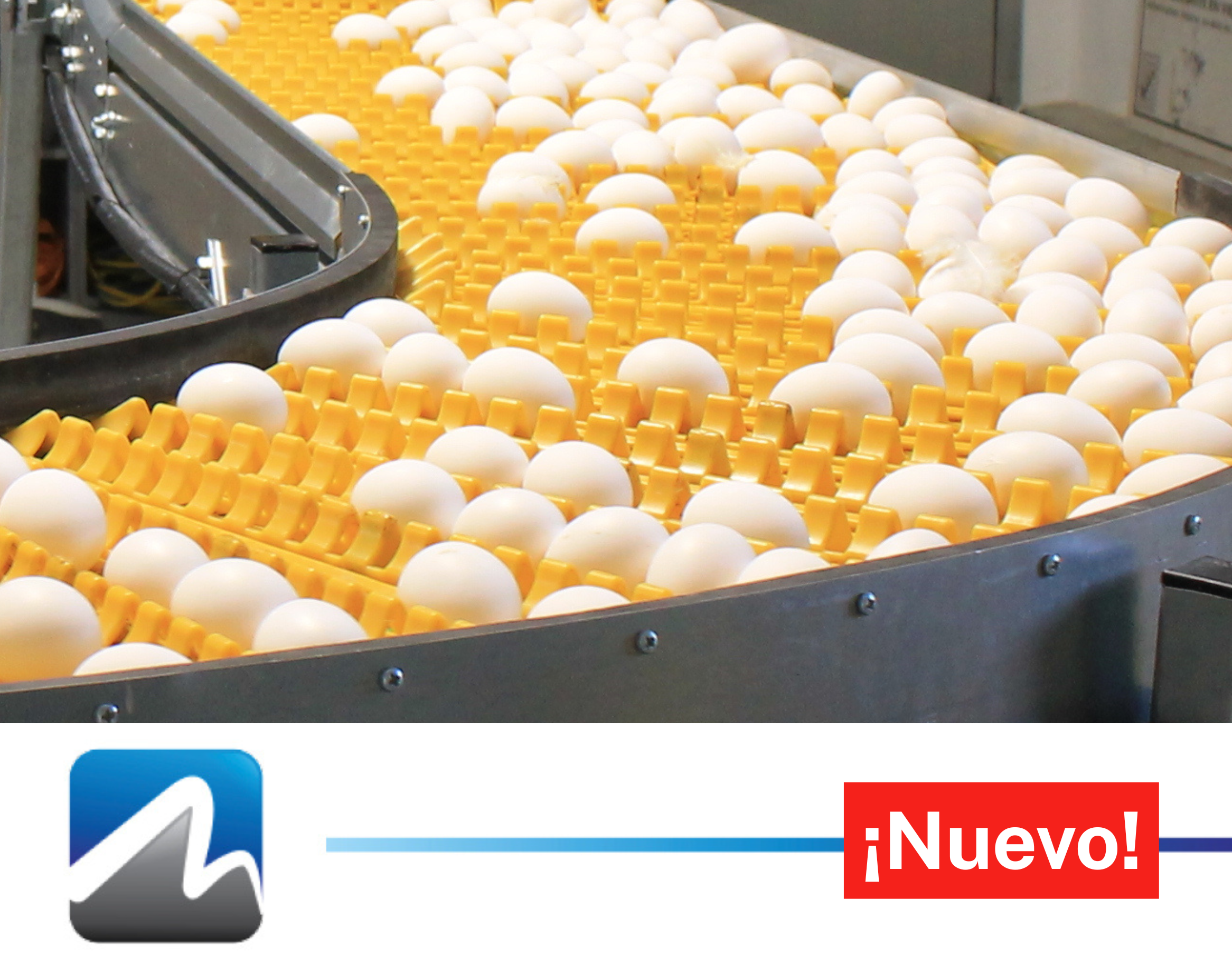 Egg flow system card es.png