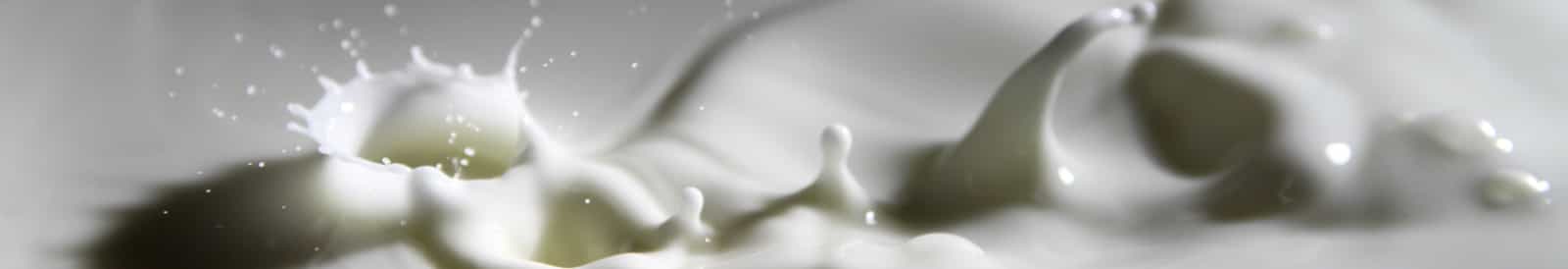 MAXIMUS - Dairy Thermograph (TTR)