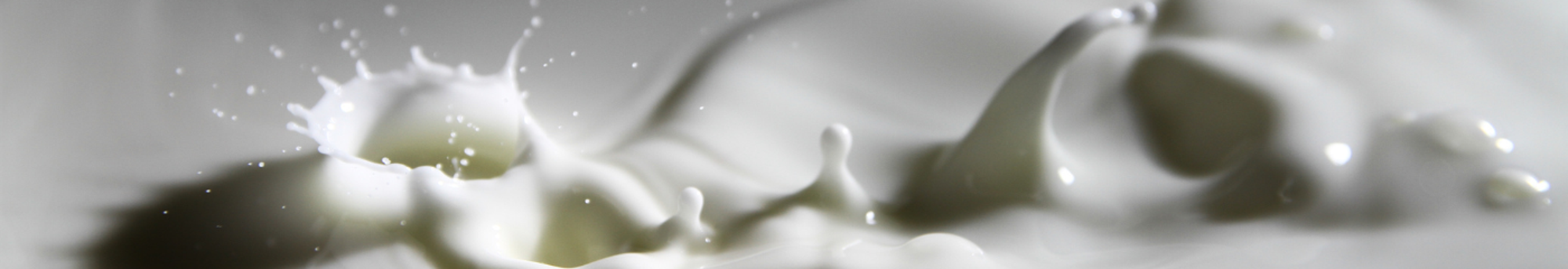 MAXIMUS - Dairy Thermograph (TTR)