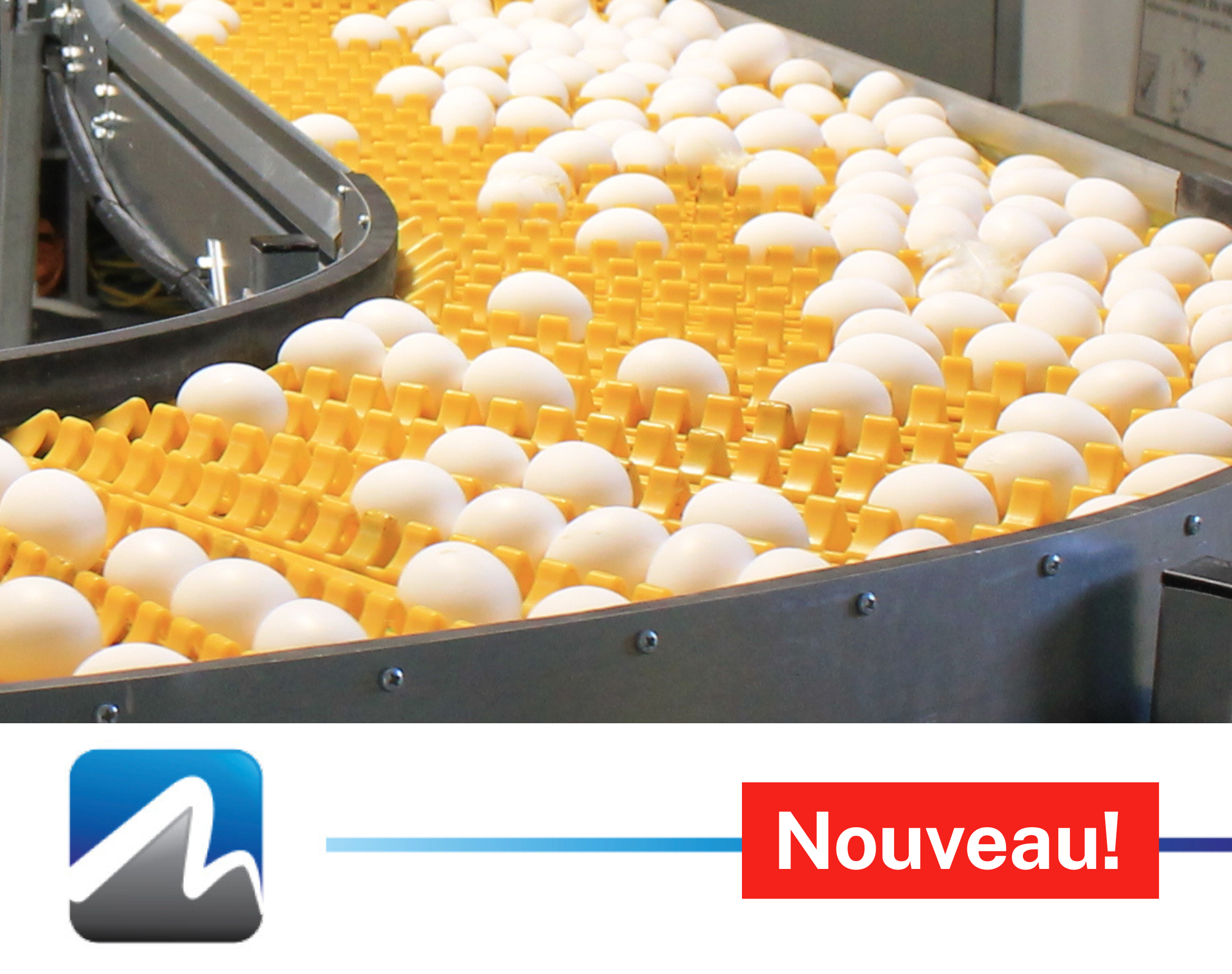 Egg flow system card fr.png