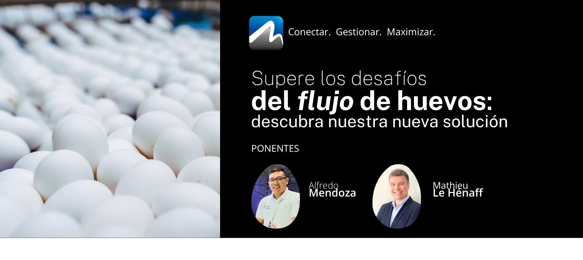 MAXIMUS Webinar - Supere los desafíos del flujo de huevos