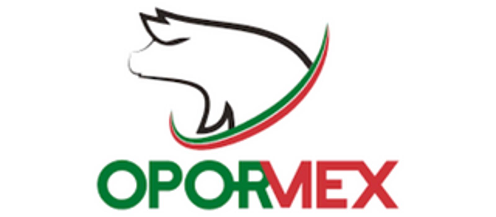 Maximus - Evento - Ven y conoce a nuestros especialistas en el Opormex