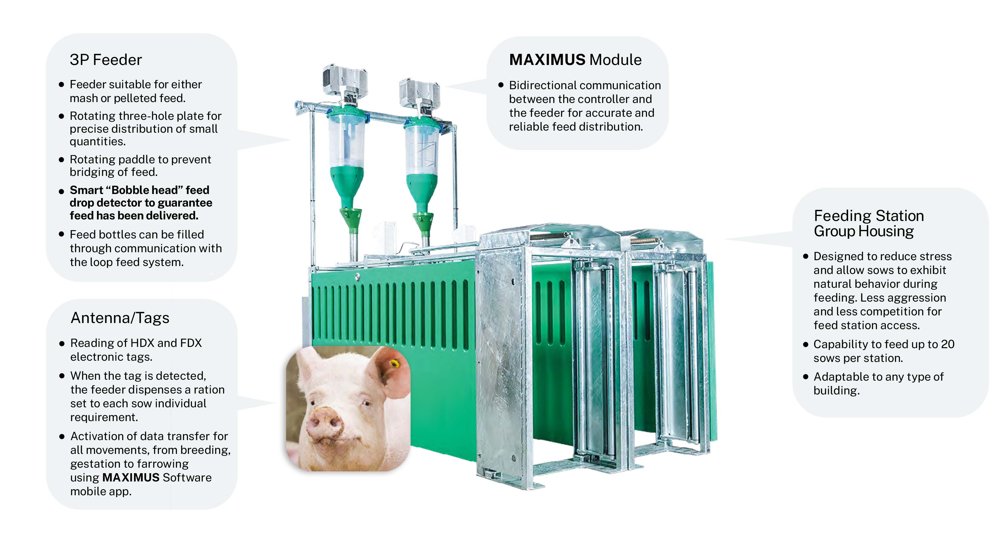 Swine Management System - MAXIMUS ESF station