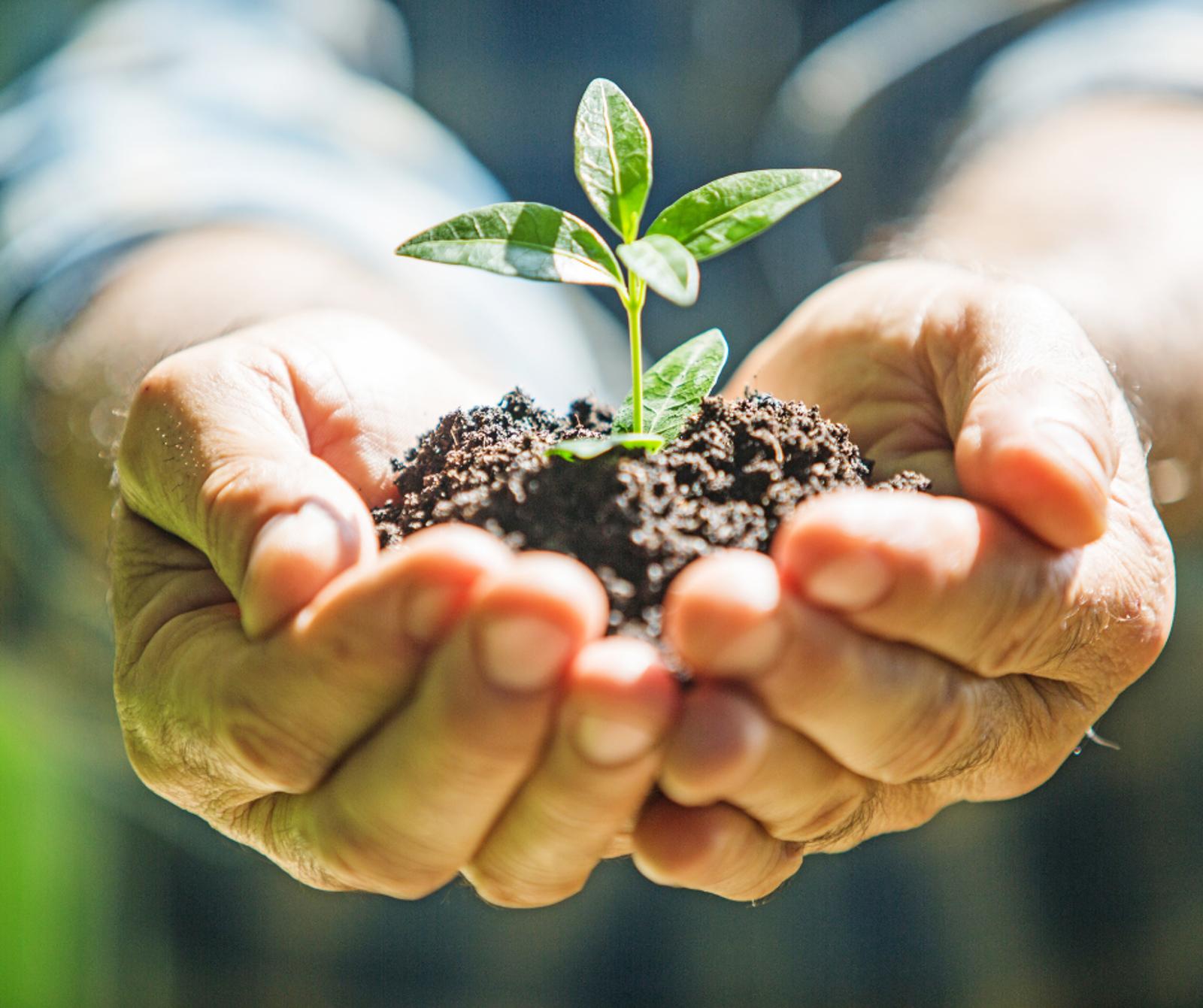 MAXIMUS - Corporate Social Responsibility